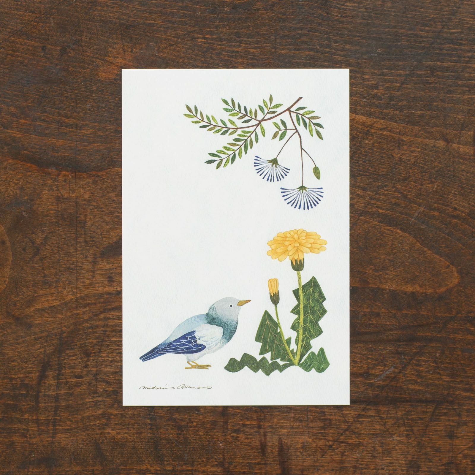 表現社 cozyca products｜浅野みどり・はがき箋「Birds」 | 月刊手紙舎