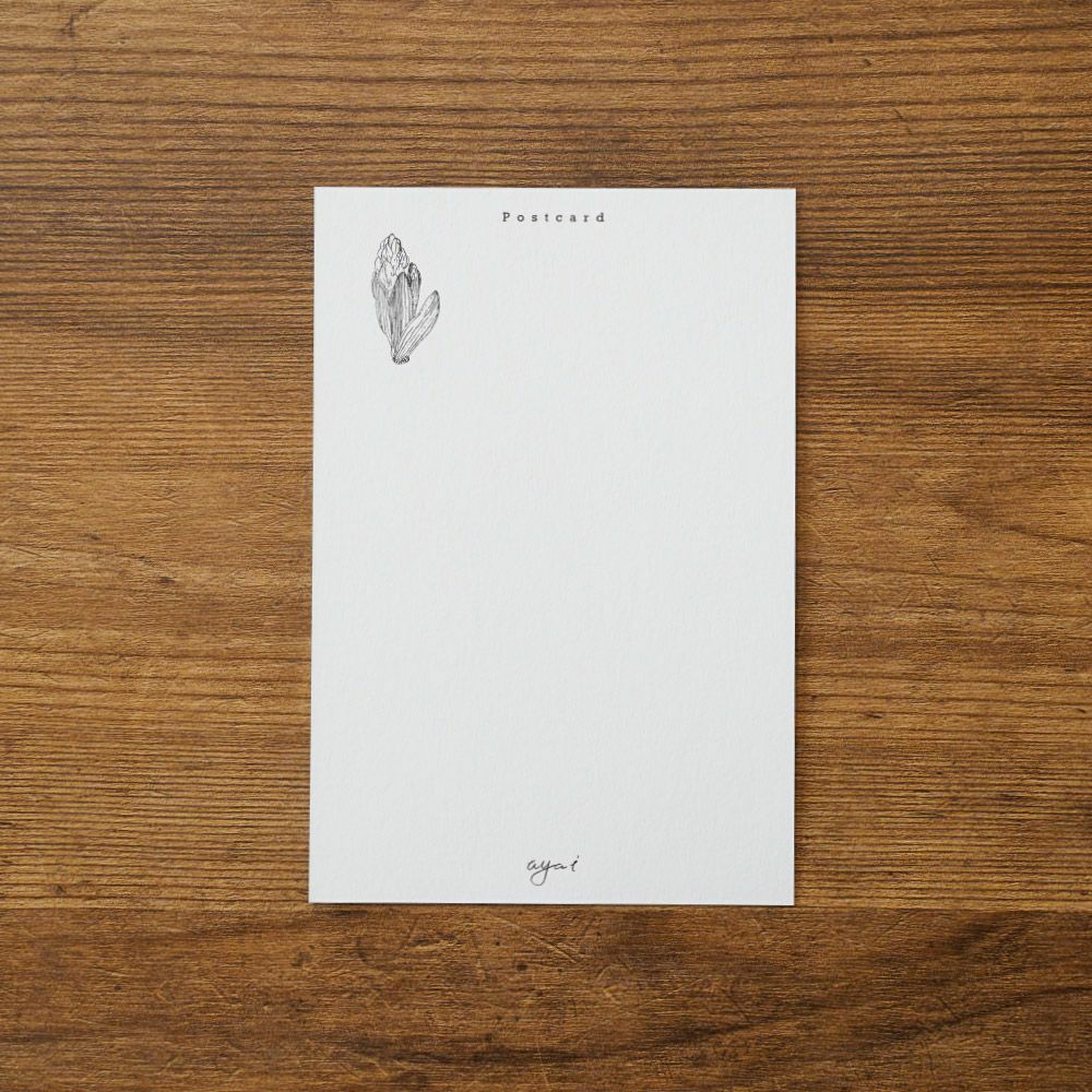 手紙社｜いのうえ彩・ポストカード「Hyacinth」 | 月刊手紙舎