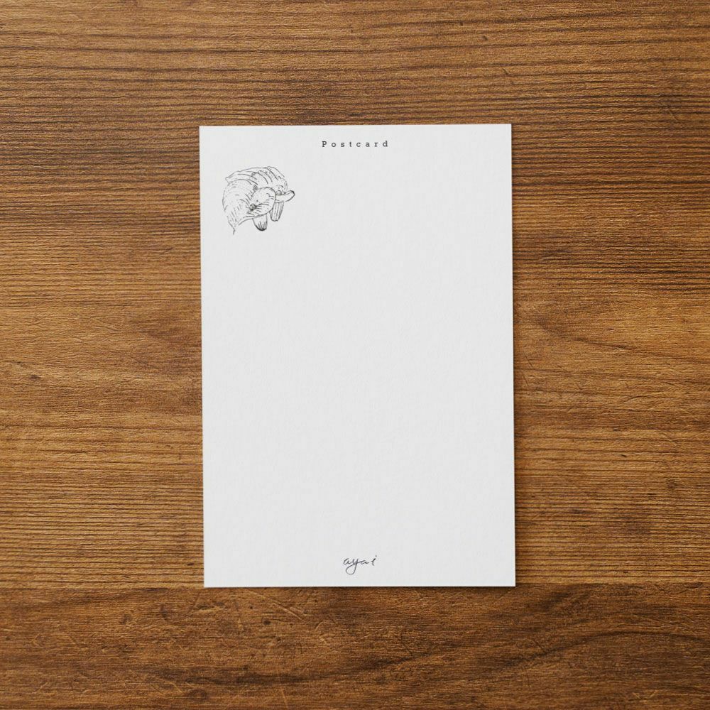 手紙社｜いのうえ彩・ポストカード「Calla」 | 月刊手紙舎