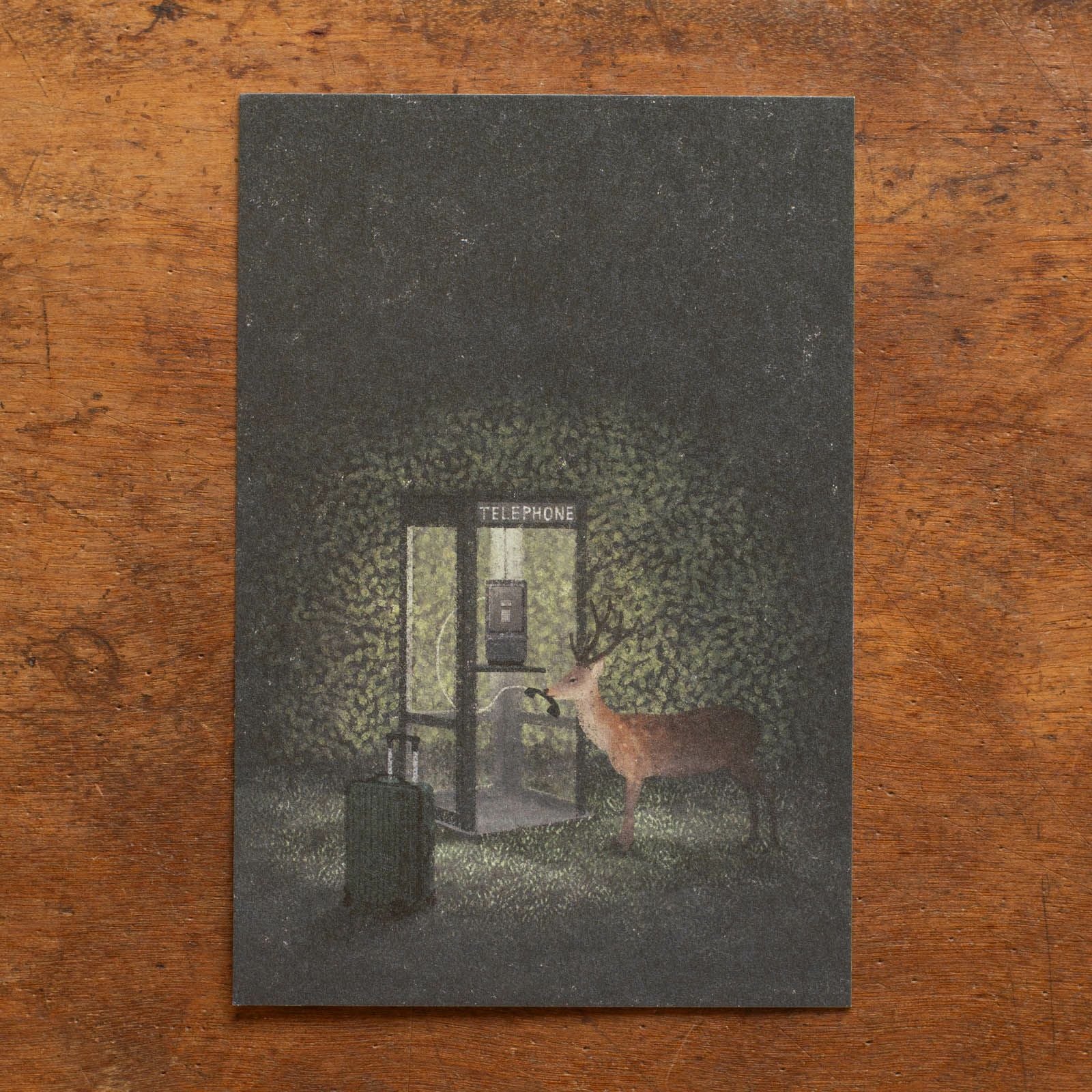 日下明 | 月刊手紙舎