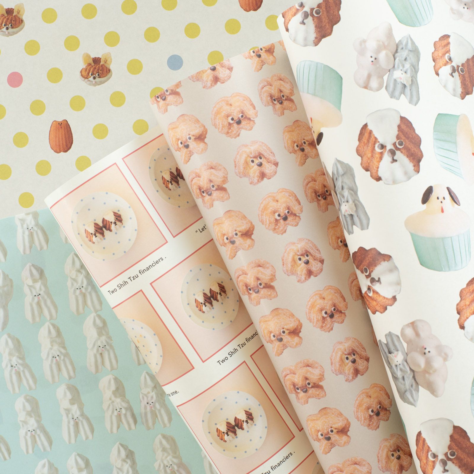 Maison terrier | 月刊手紙舎