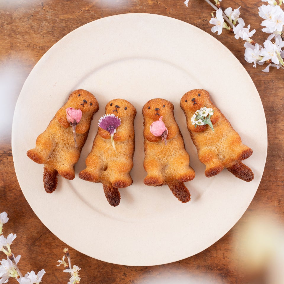 春らしいお花を持ったラッコたちのフィナンシェ